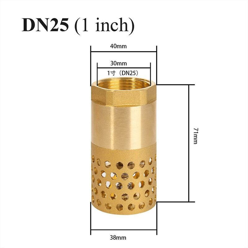 1 Inch Pump Check Valve - Foot Valve Strainer Check Valve (1 Inch)