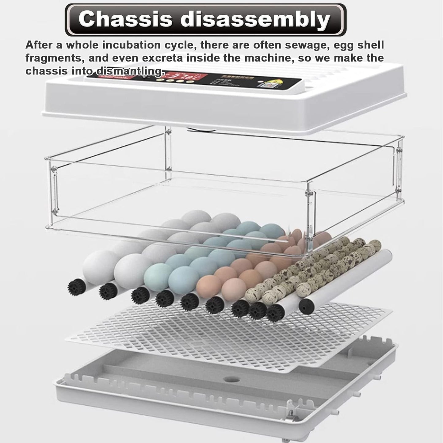 CARLA HOME 70 Egg Incubator with Automatic Turning & LED Display