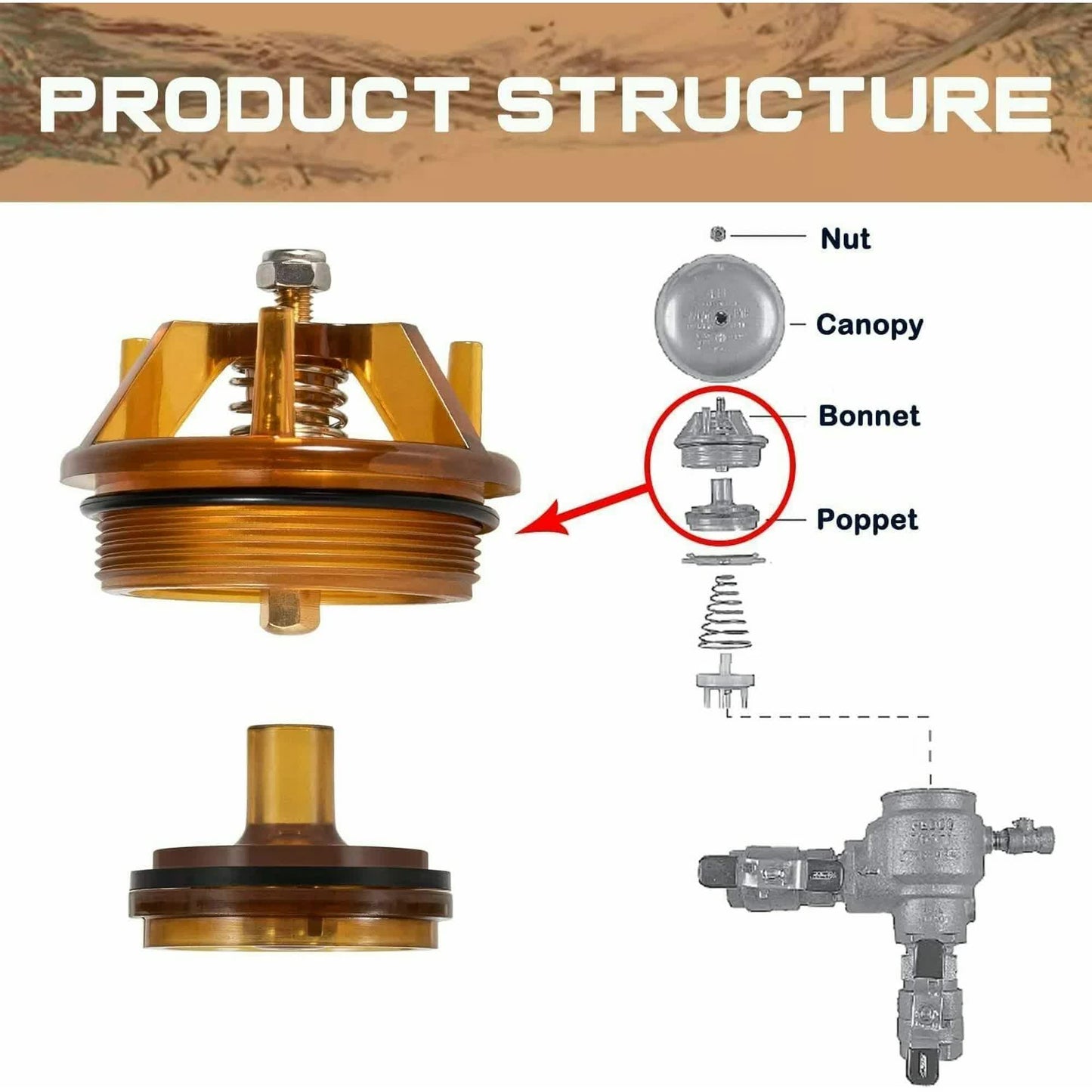 Bonnet and Poppet Repair Kit Fit for FEBCO 765-1 Inch & 1-1/4 Inch Febco