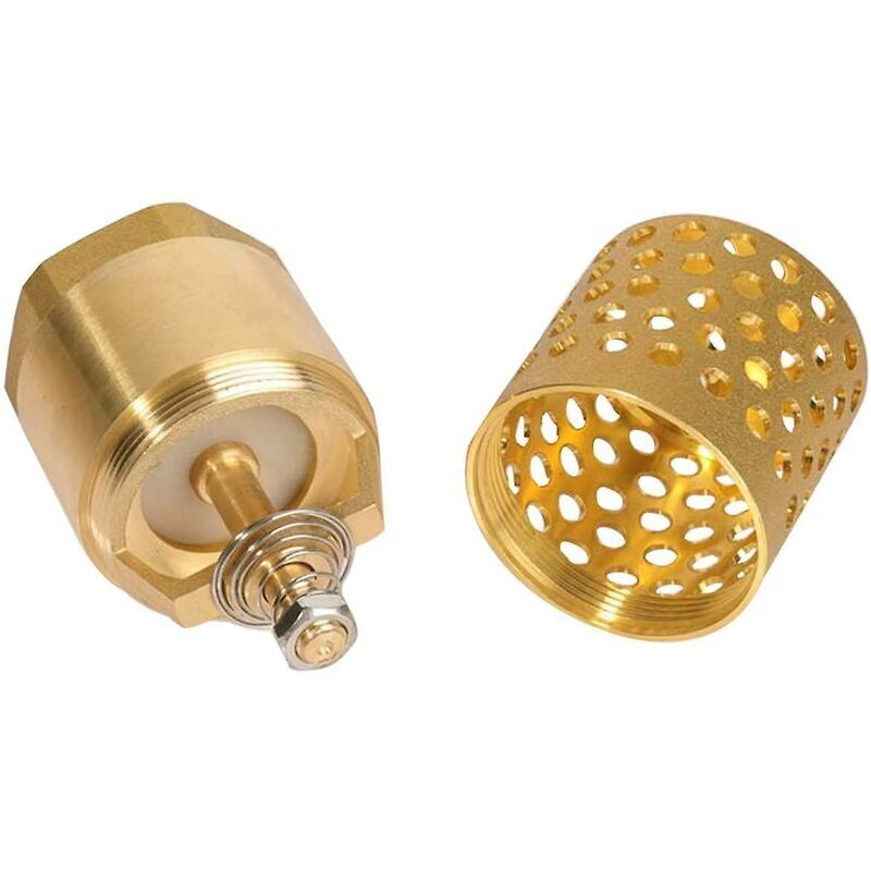 1 Inch Pump Check Valve - Foot Valve Strainer Check Valve (1 Inch)