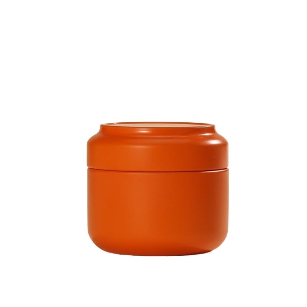Tea Box - Portable Mini Tea Caddy, Large Tea Storage Container