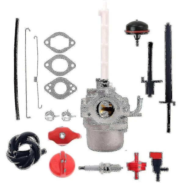 796122 Carburetor for Briggs & Stratton 793161 696737 794593 20e114 Blower Tractor