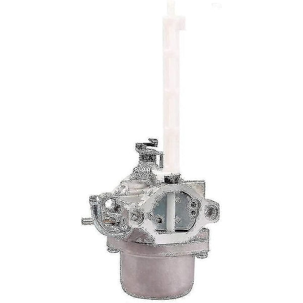 796122 Carburetor for Briggs & Stratton 793161 696737 794593 20e114 Blower Tractor