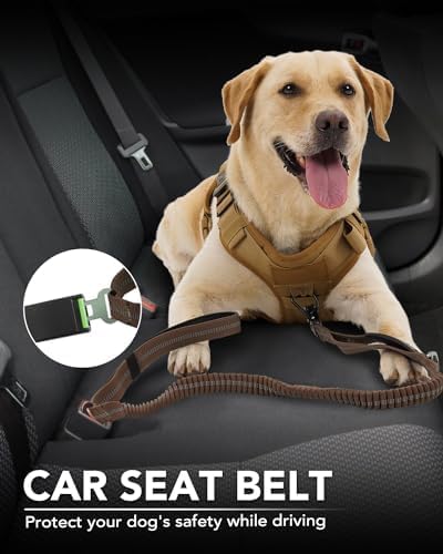 Tactical Dog Collar(17"-21") and Leash Set, Shock Absorbing Bungee Adjustable