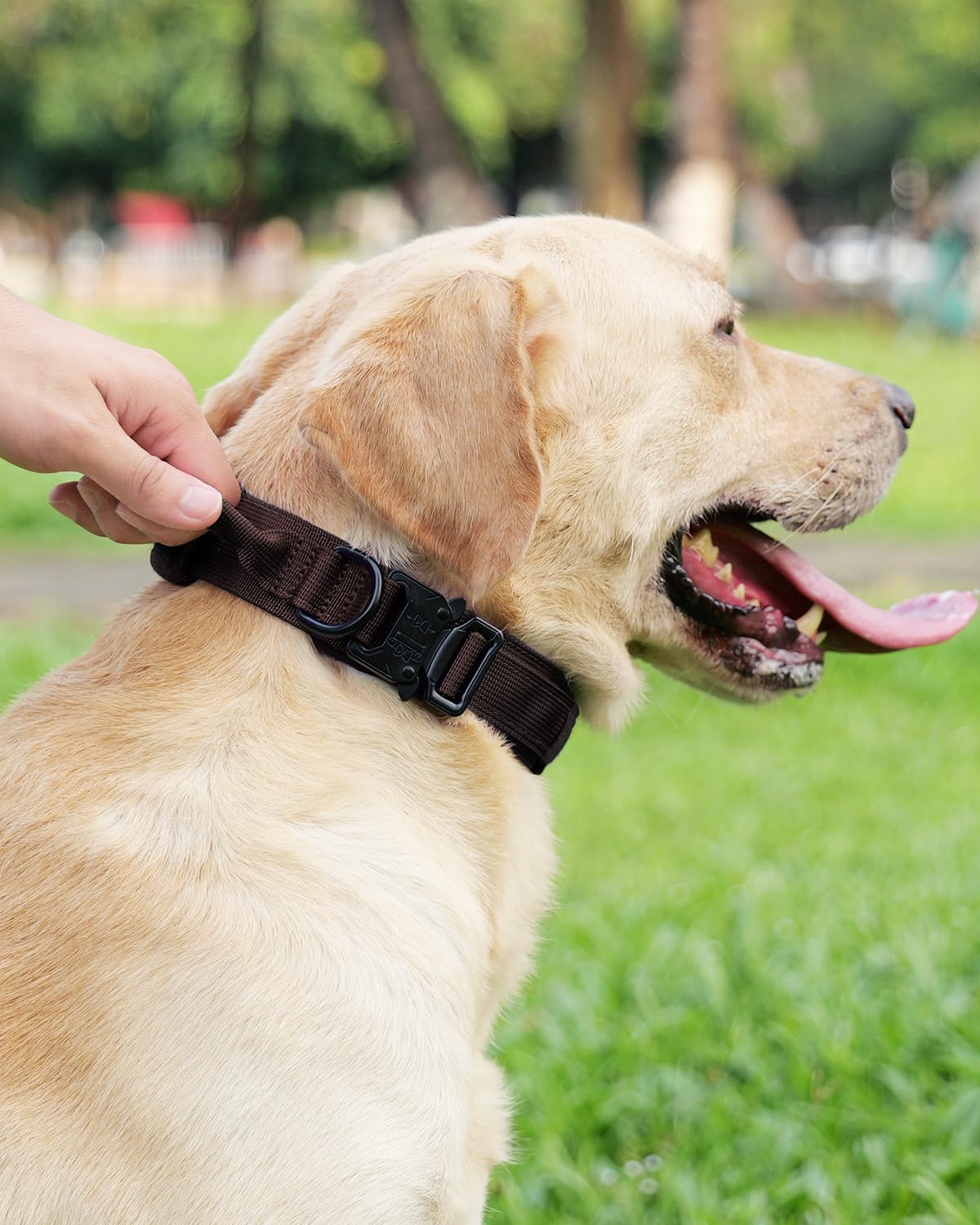 Tactical Dog Collar(17"-21") and Leash Set, Shock Absorbing Bungee Adjustable