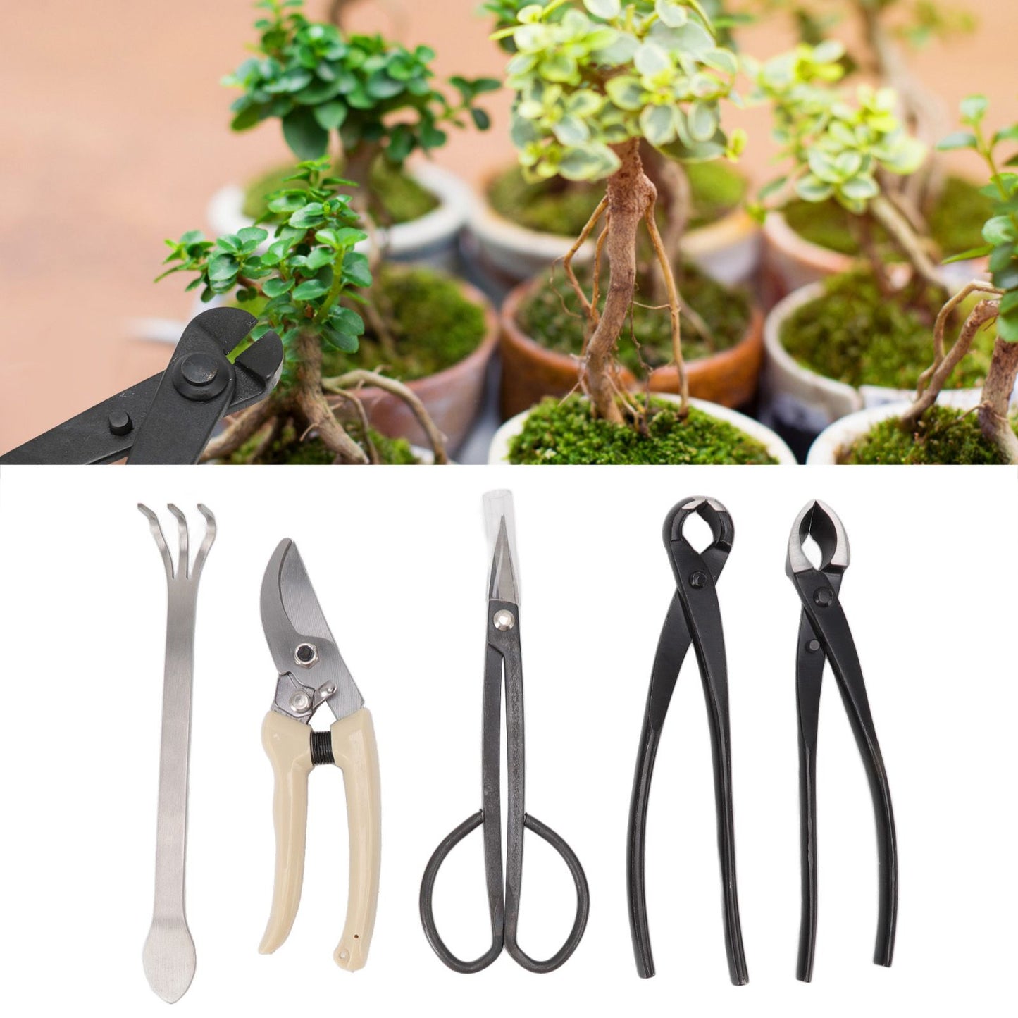 5Pcs Bonsai Tool Set Kit Carbon Steel Bonsai Scissors Rake Branch Cutter