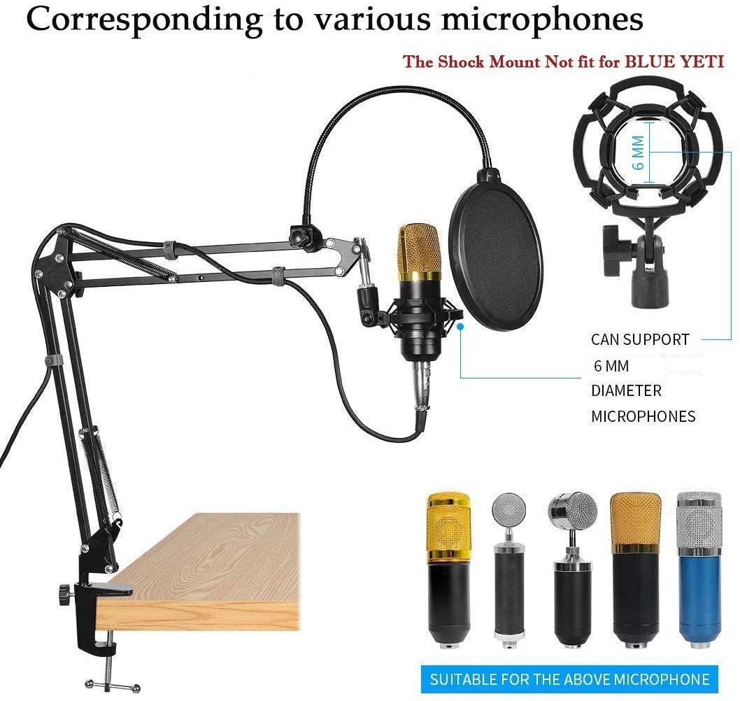Microphone Radio Broadcasting Stand with 3/8"to 5/8" Screw