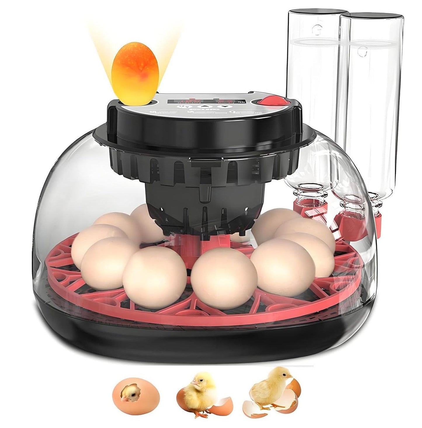 CARLA HOME 12 Egg Incubator with Automatic Turning & LED Display