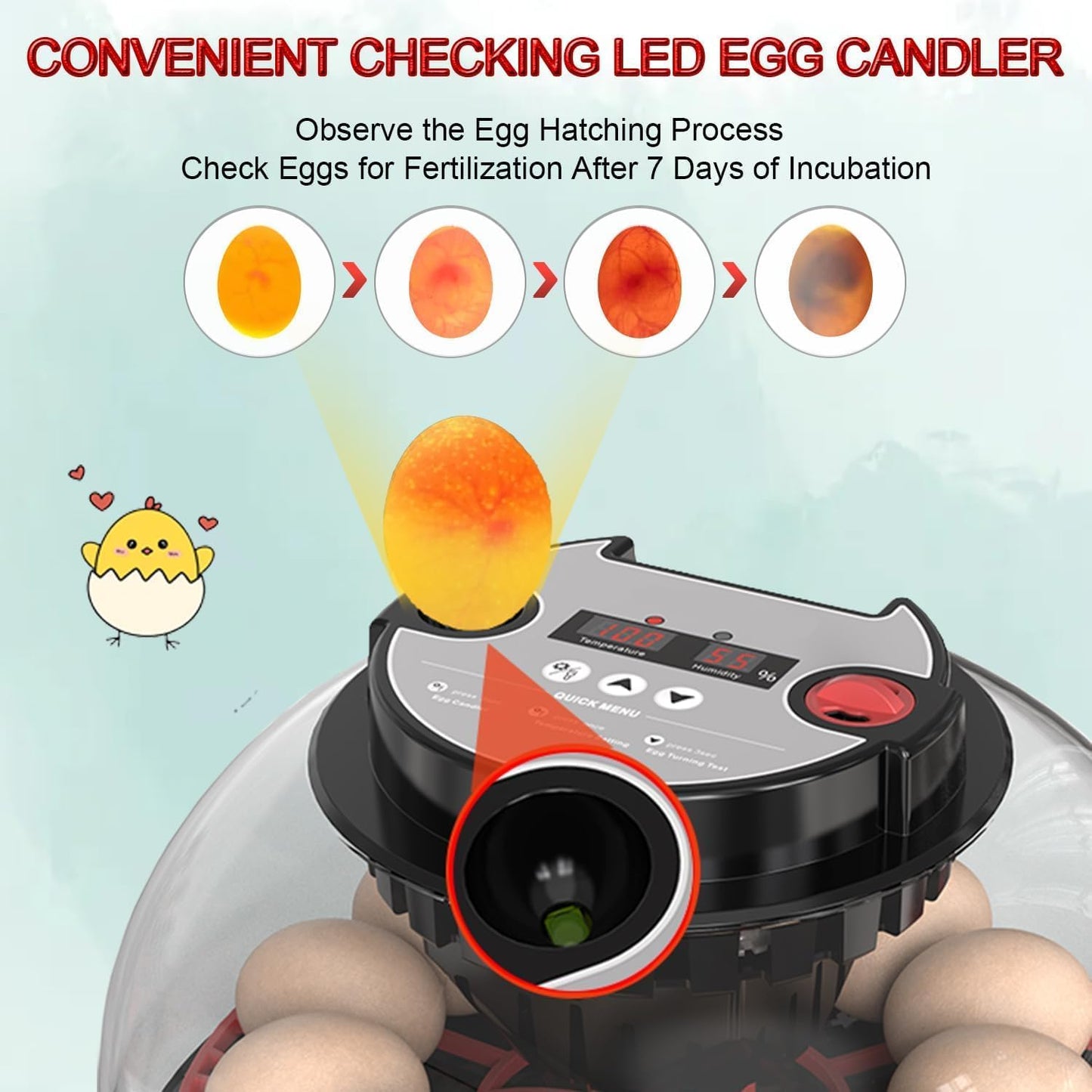 CARLA HOME 12 Egg Incubator with Automatic Turning & LED Display
