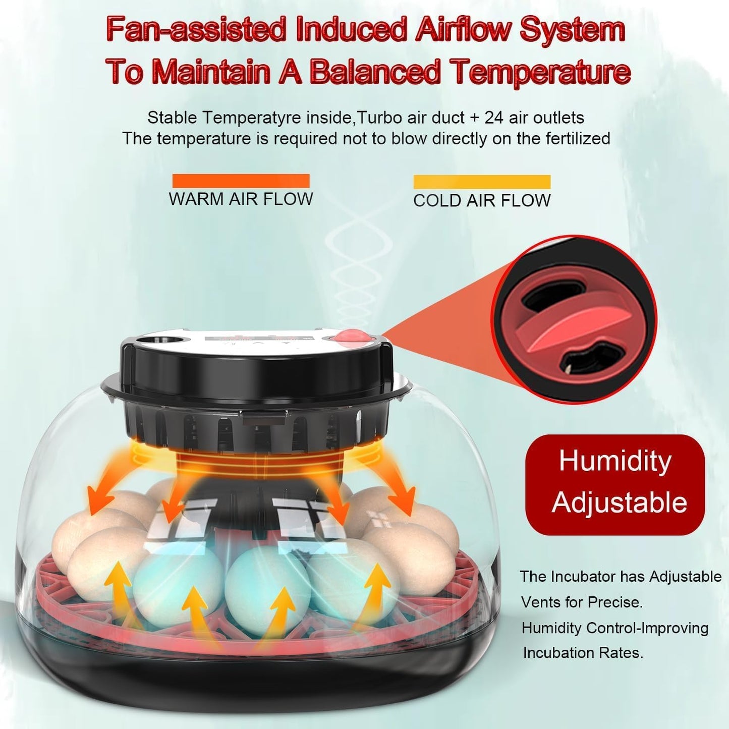 CARLA HOME 12 Egg Incubator with Automatic Turning & LED Display