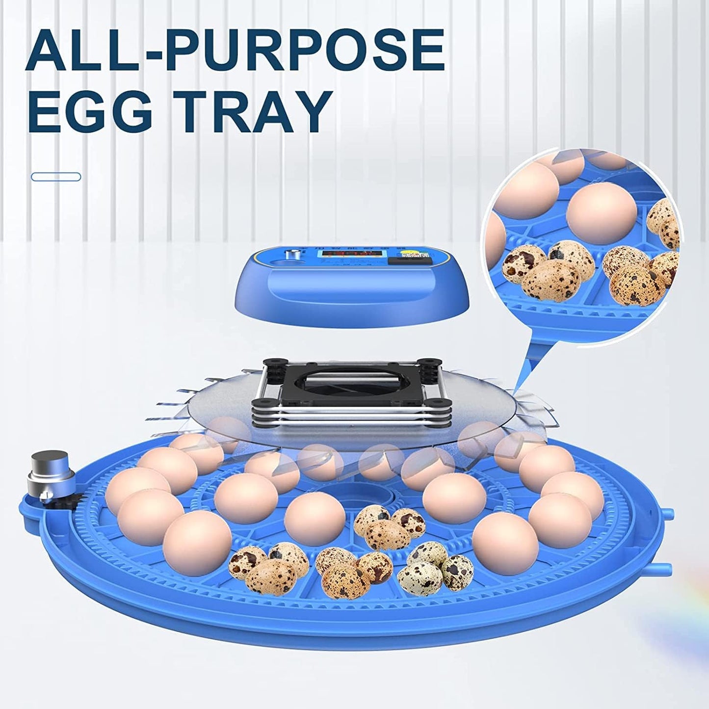 CARLA HOME 52 Egg Incubator with Automatic Turning & LED Display