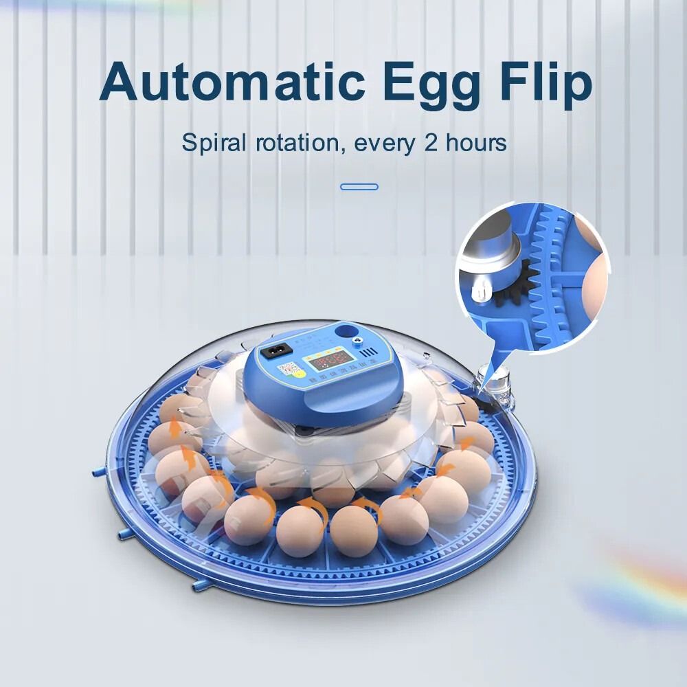CARLA HOME 52 Egg Incubator with Automatic Turning & LED Display