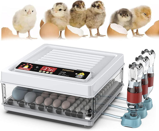 CARLA HOME 70 Egg Incubator with Automatic Turning & LED Display