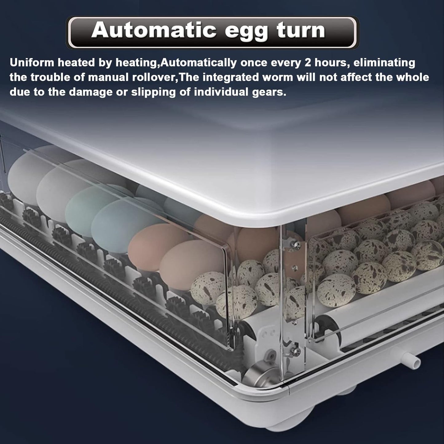 CARLA HOME 70 Egg Incubator with Automatic Turning & LED Display