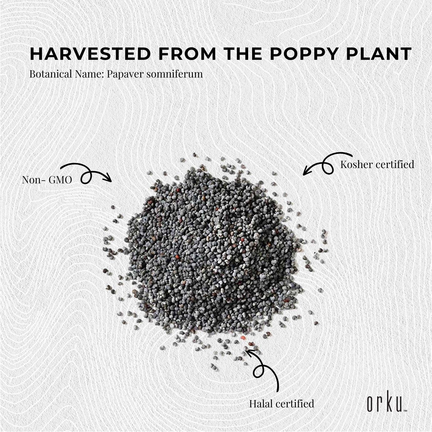 Poppy Seeds Unwashed Papaver Somniferum