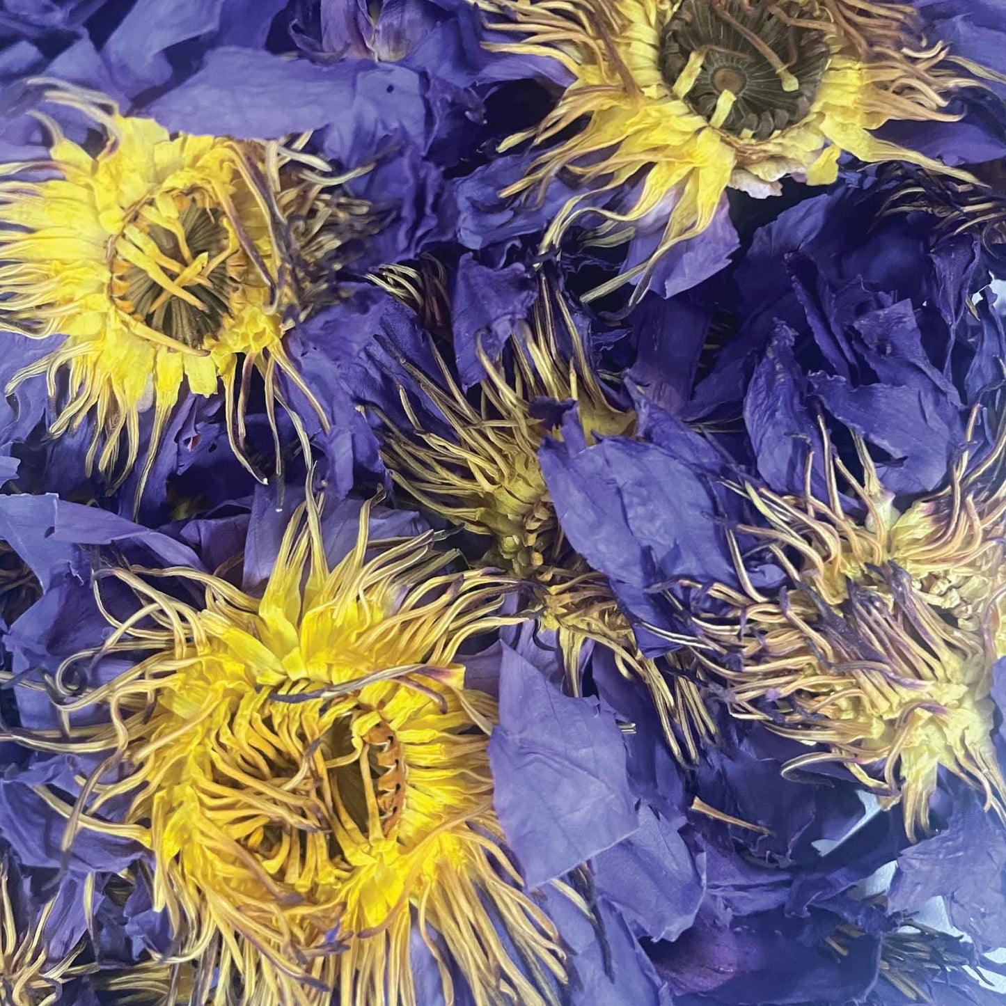 Orku 100g Dried Blue Lotus Flowers - Whole