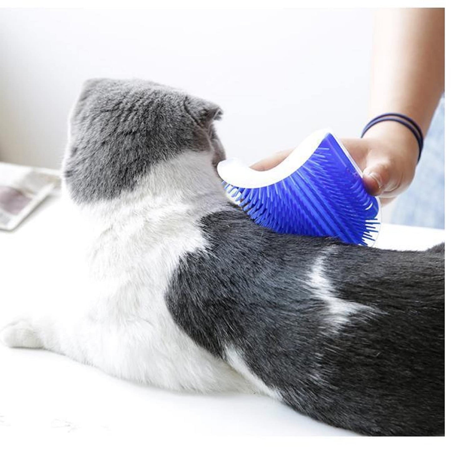 Cat Self Groomer Catnip Wall Corner Scratcher Comb Grooming Massage Brush Blue