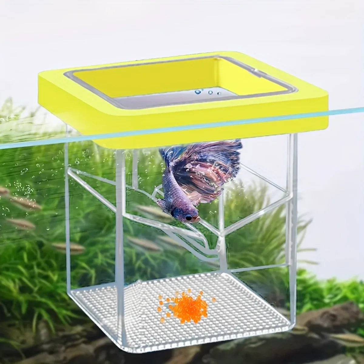 Fish Tank Breeding Box Floating Isolation Incubator Hatching Box for Aquarium