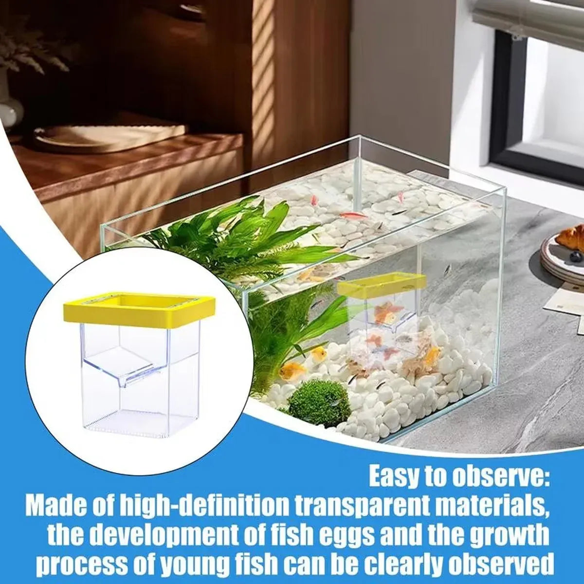 Fish Tank Breeding Box Floating Isolation Incubator Hatching Box for Aquarium